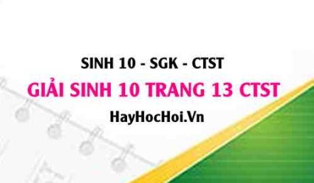Giải Sinh 10 trang 13 Chân trời sáng tạo SGK